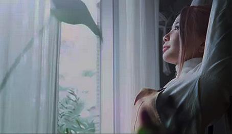 Instalação Película Antivandalismo Campinas